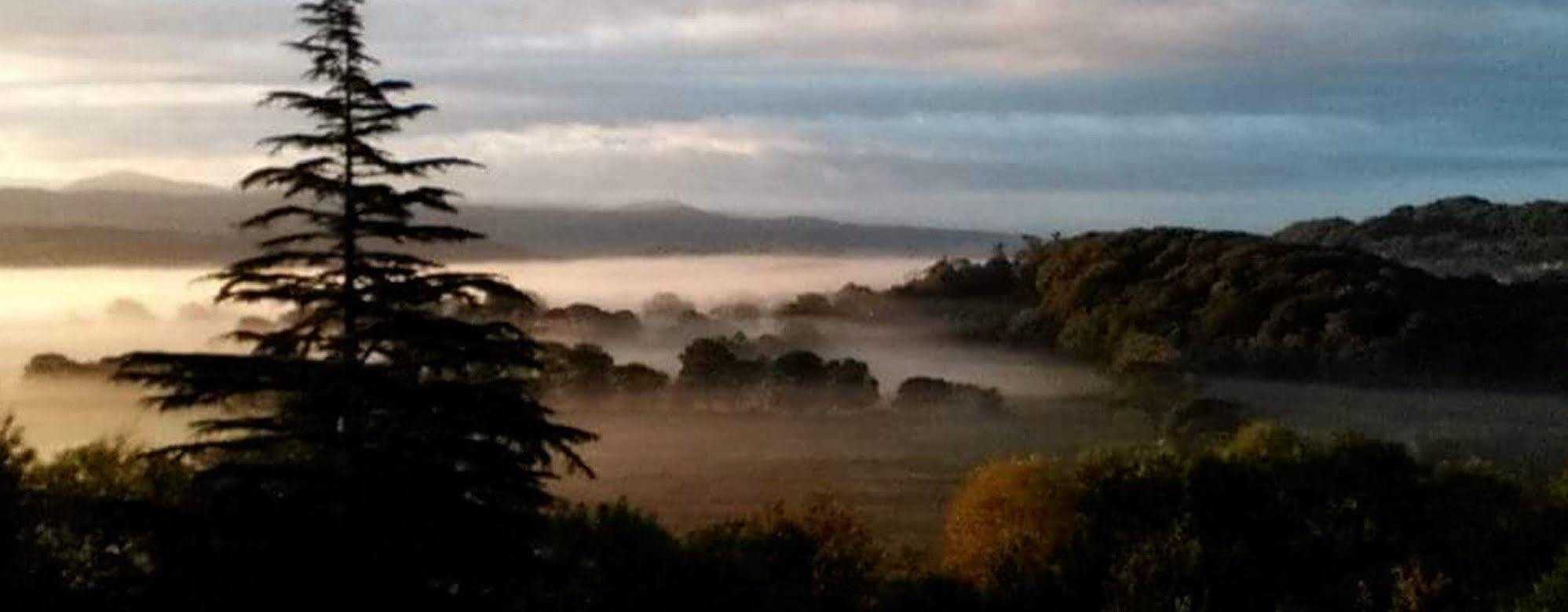 Bed & Breakfast Plas Tan-yr-allt Historic & Estate